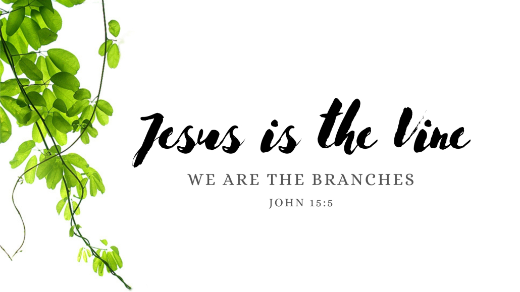 Jesus is the vine and we are the branches and an image of vines