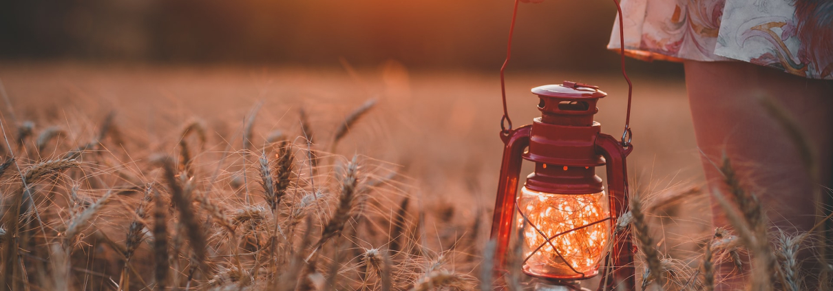 Woman walking in the wheat fields with a red lamp that has a reflection of the sunset glow behind it. She is bringing extra oil for her lamp too.