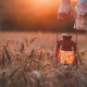Woman walking in the wheat fields with a red lamp that has a reflection of the sunset glow behind it. She is bringing extra oil for her lamp too.