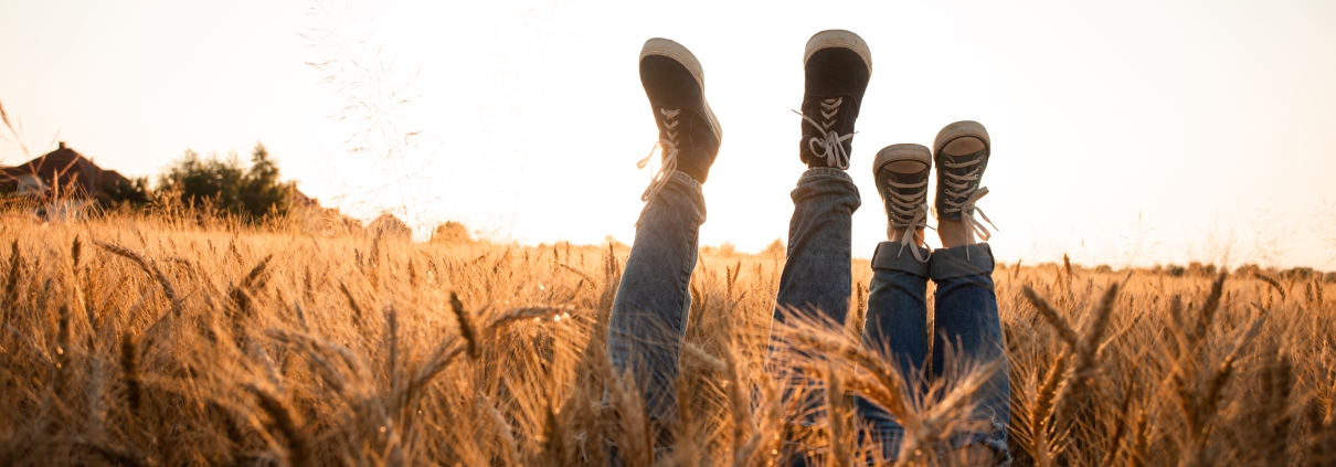 Backlit light picture couple's legs in sneakers over grain field and sunset sky. Man and woman laying among spikelets, holding legs up.