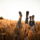 Backlit light picture couple's legs in sneakers over grain field and sunset sky. Man and woman laying among spikelets, holding legs up.