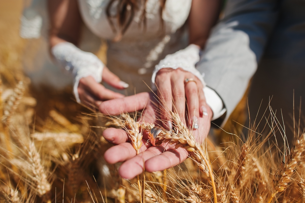Picture of Ruth and Boaz holding wheat where she marries the man who owns the field. This is God's restoration principle in motion.